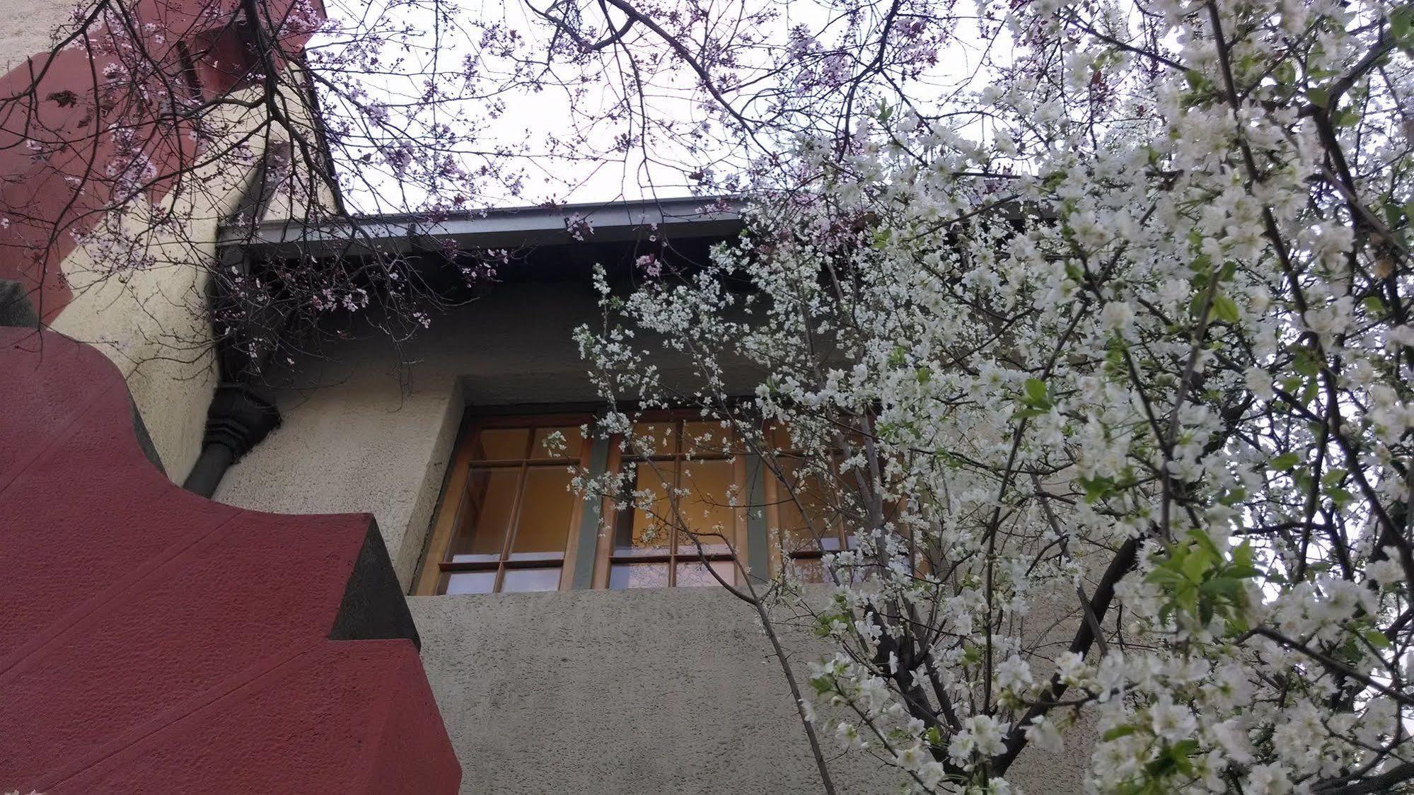 Providencia Bed & Breakfast Santiago Exterior foto